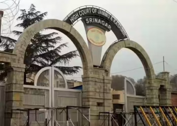 High Court raps Anantnag DM for pre-planning PSA custody a day before receiving police dossier, frees man